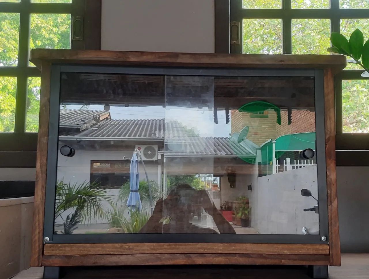 Vendo viveiro  - Foto 5