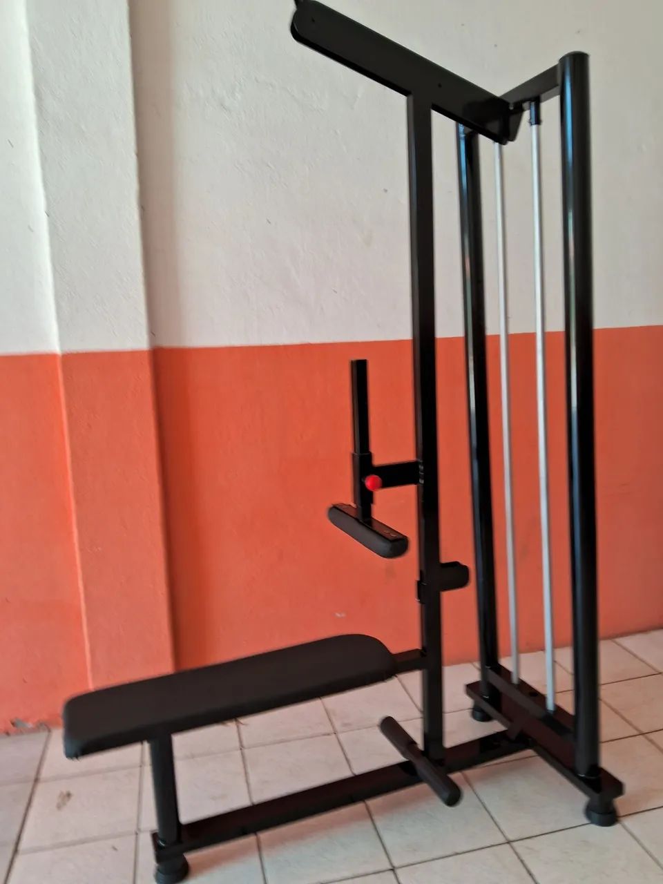 Puxado pulley com remada baixa profissional 