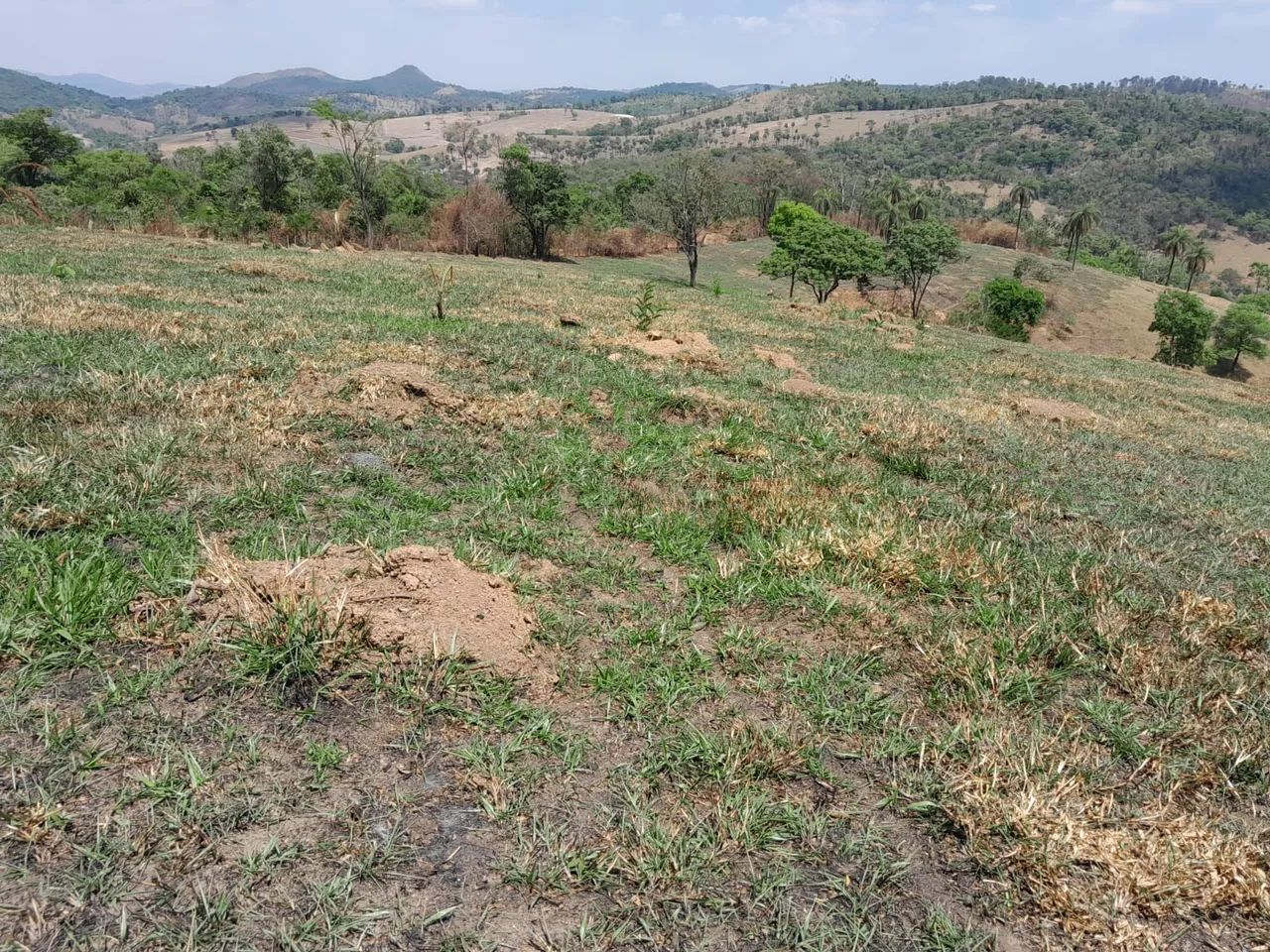 Chacaras em azurita mateus leme  - Foto 4