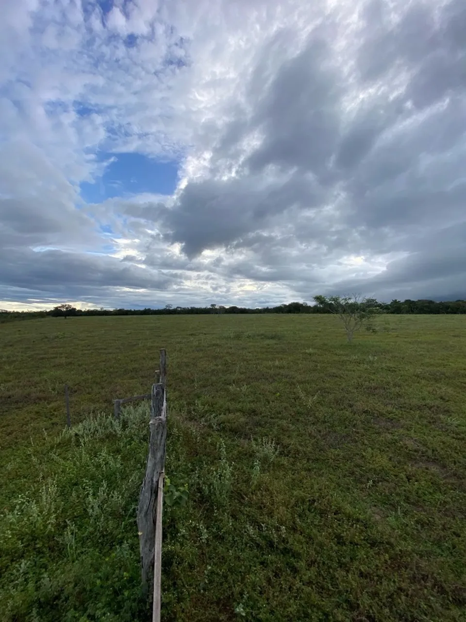 Fazenda próximo à Primavera do Leste-MT