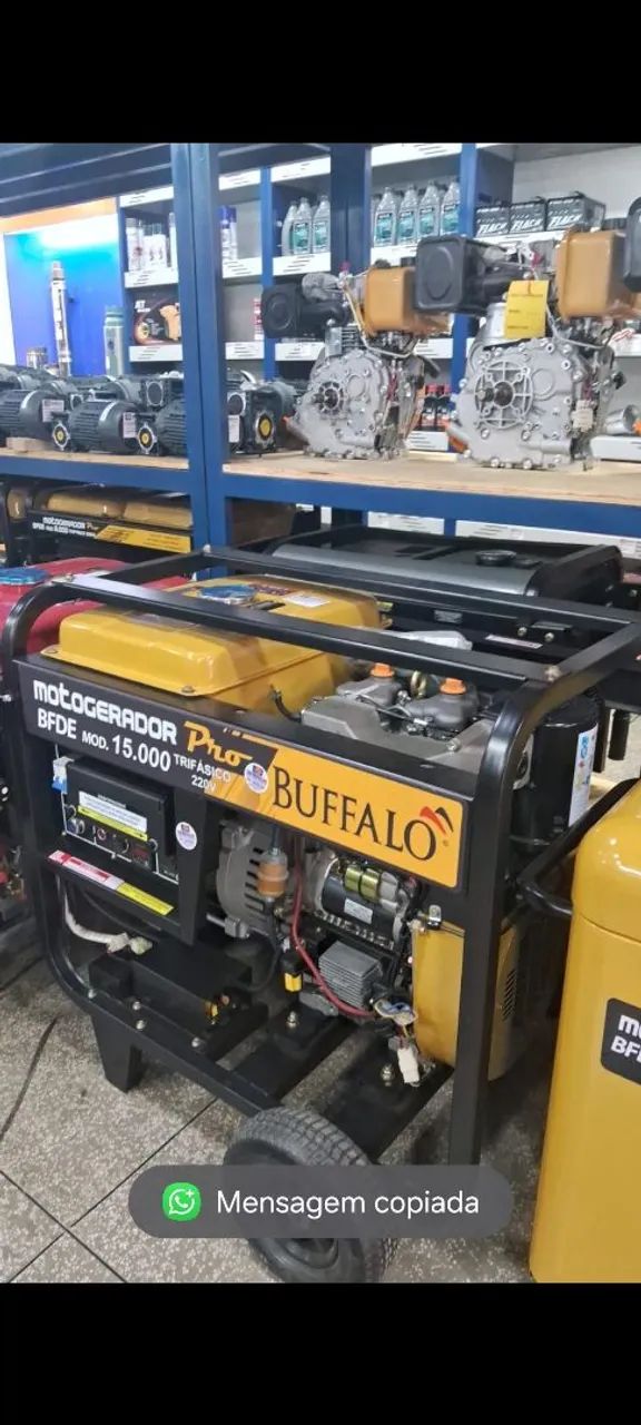 GERADOR A DIESEL 15KVA TRIF 220V BFDE15000 BUFFALO - Foto 2