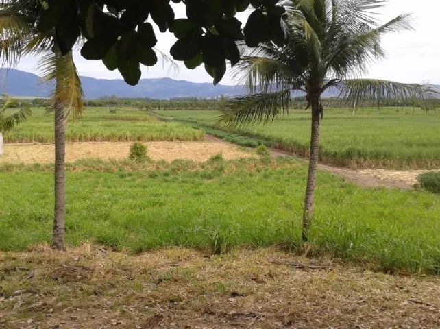 Terreno Itaguai 92000m2 - Piranema - Porto de Itaguaí - Rio Santos - Arco Metropolitano - Foto 2