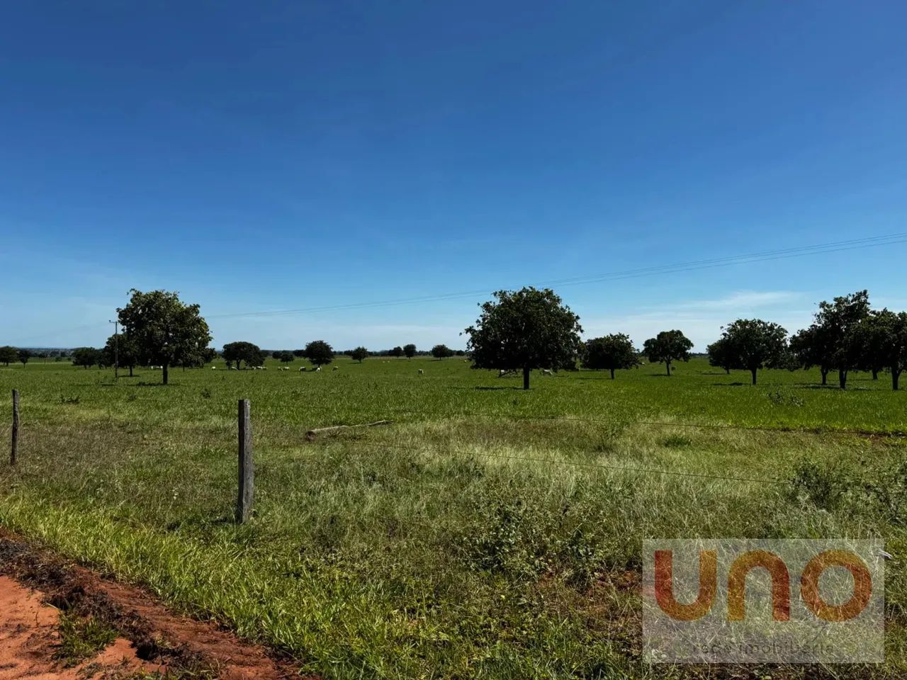 Fazenda para venda em Pontinha do cocho beira de asfalto em Camapuã - MS - Foto 2