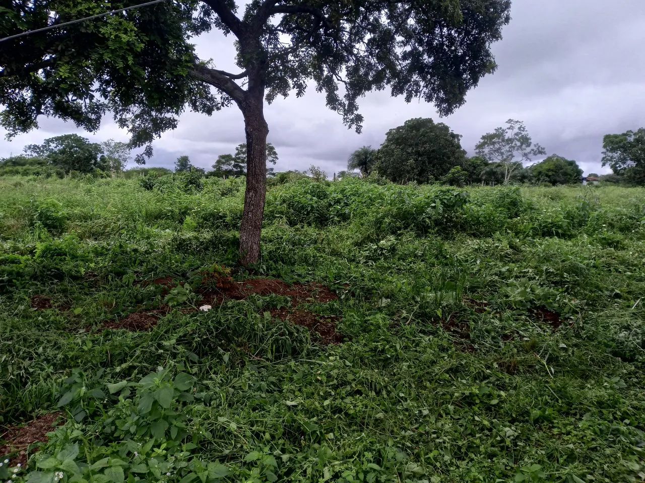 Foto - Feira de Santana - Cruzeiro