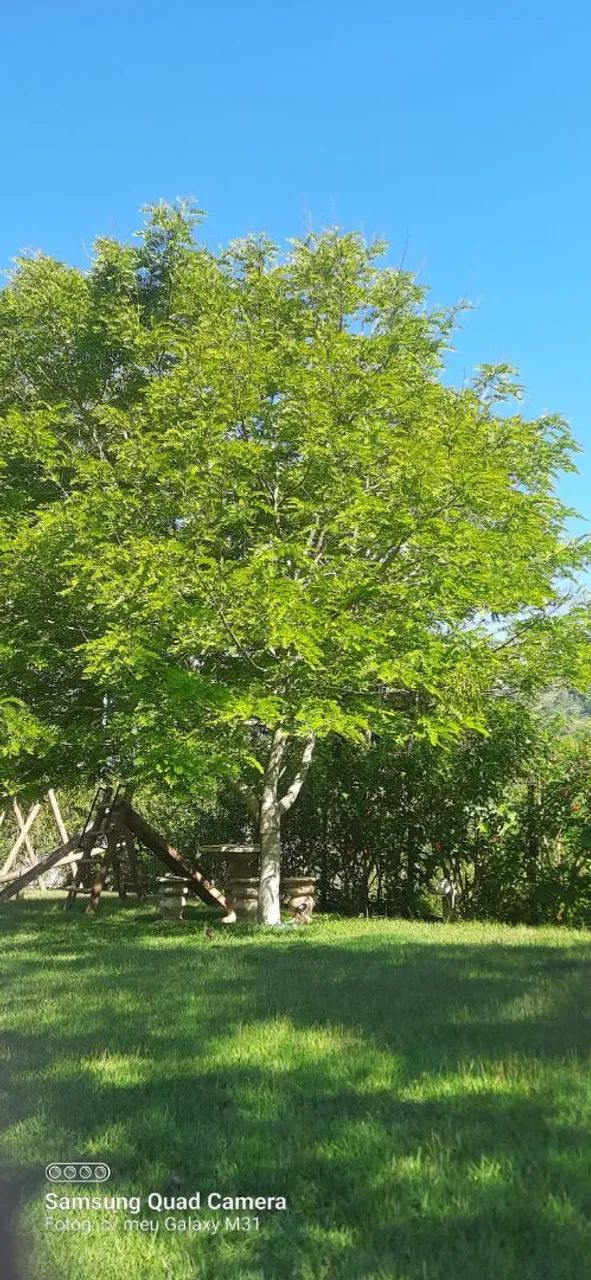 Vendo chácara em Gonçalves  - Foto 2