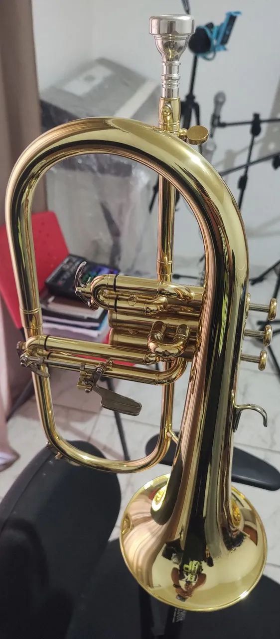 Flugelhorn  - Foto 4