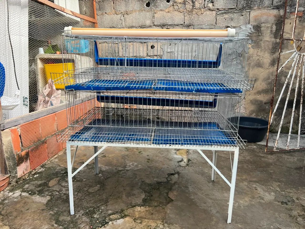 Gaiola  codorna - Foto 2