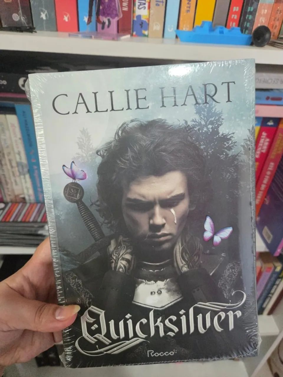 Livro: Quicksilver - Capa Comum (lacrado)