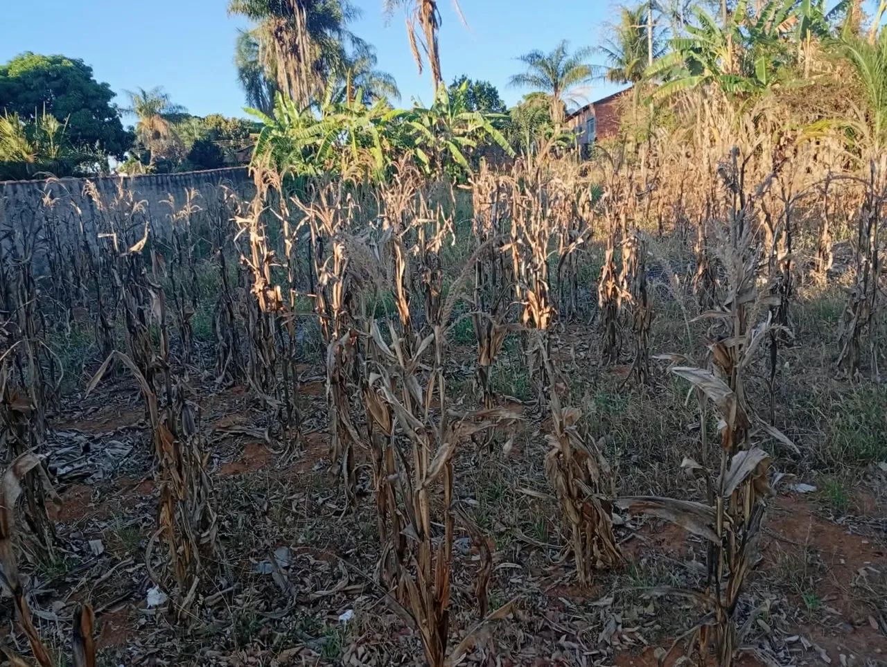 Lote em Cromínia  - Foto 5