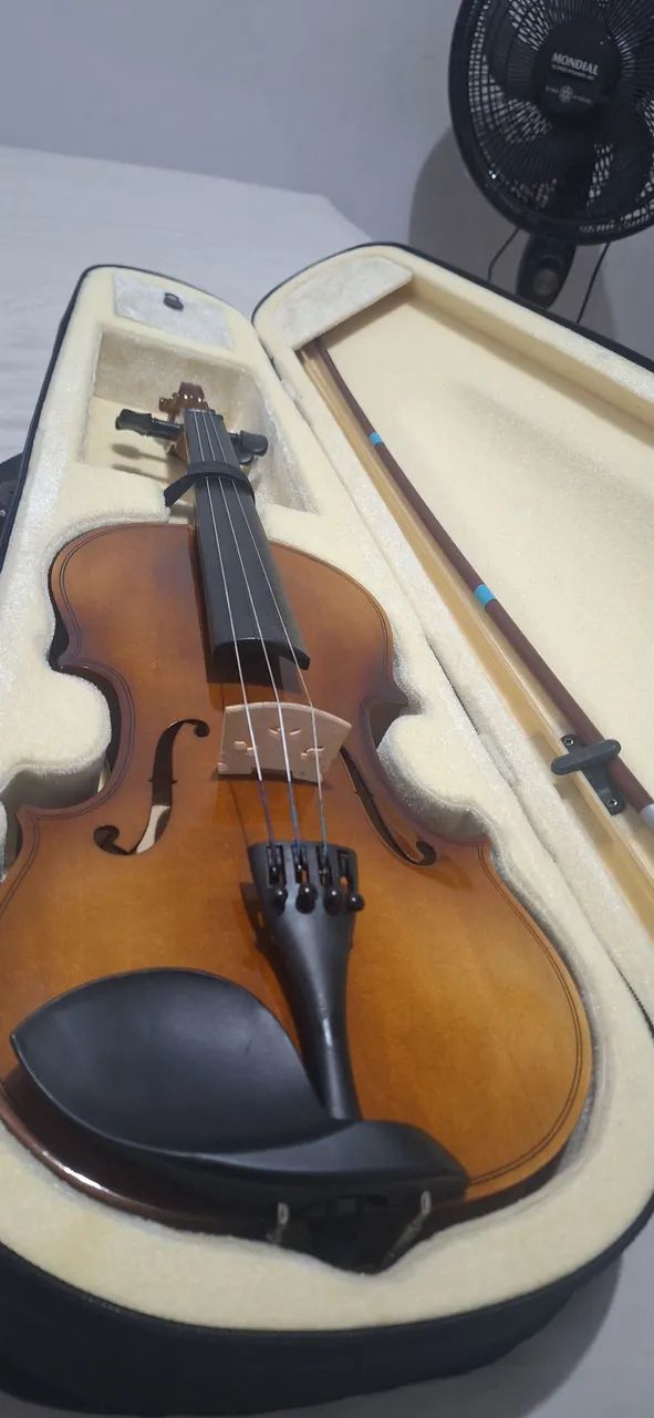 Violino