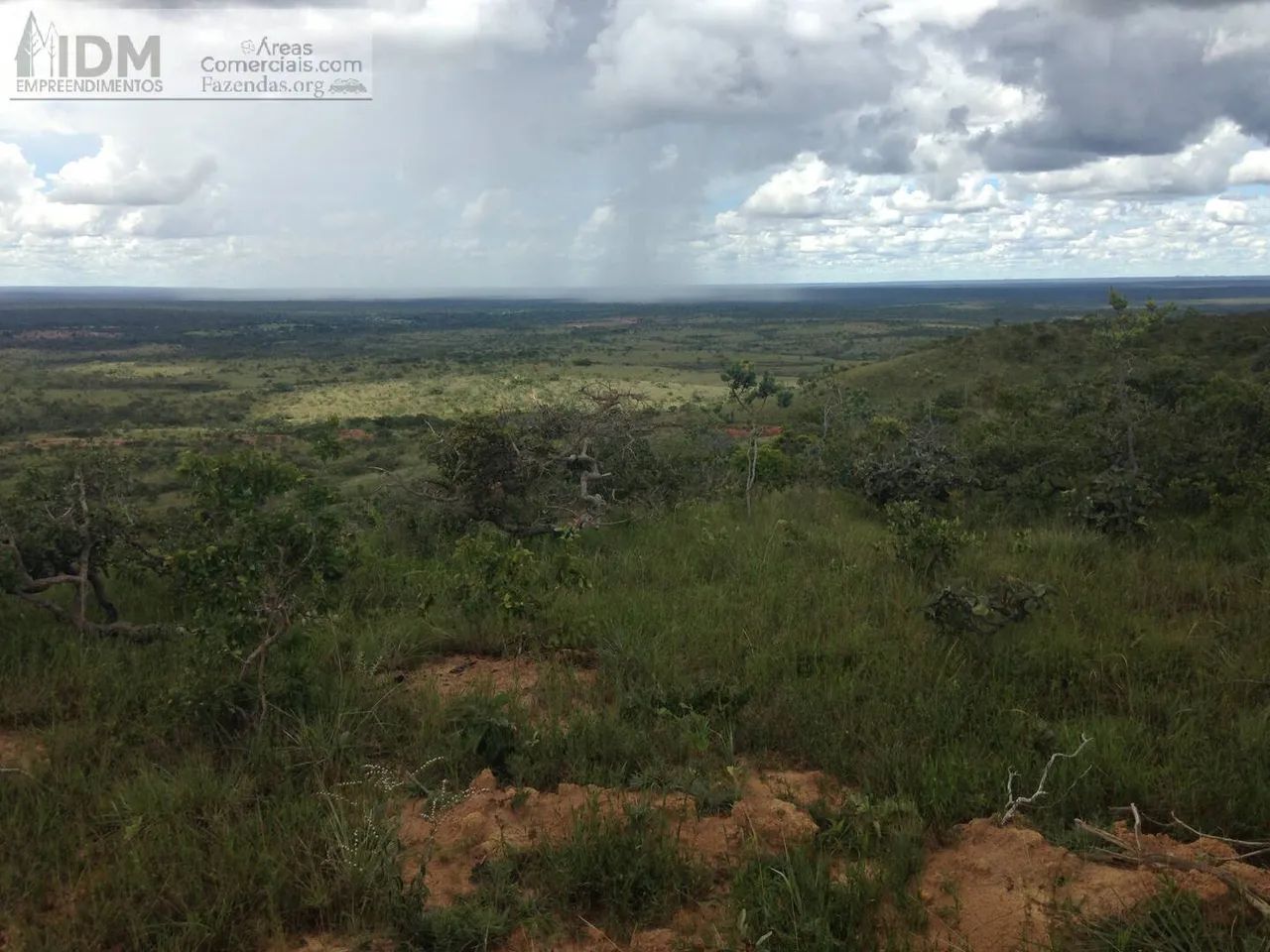 Fazena agropecuária com 1.366 ha em Formoso - MG - Foto 5