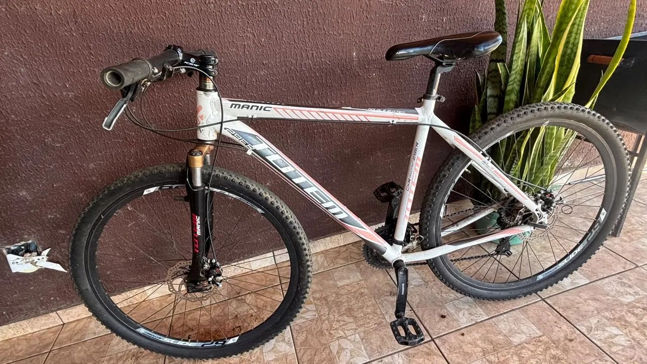 Bicicleta Aro 29