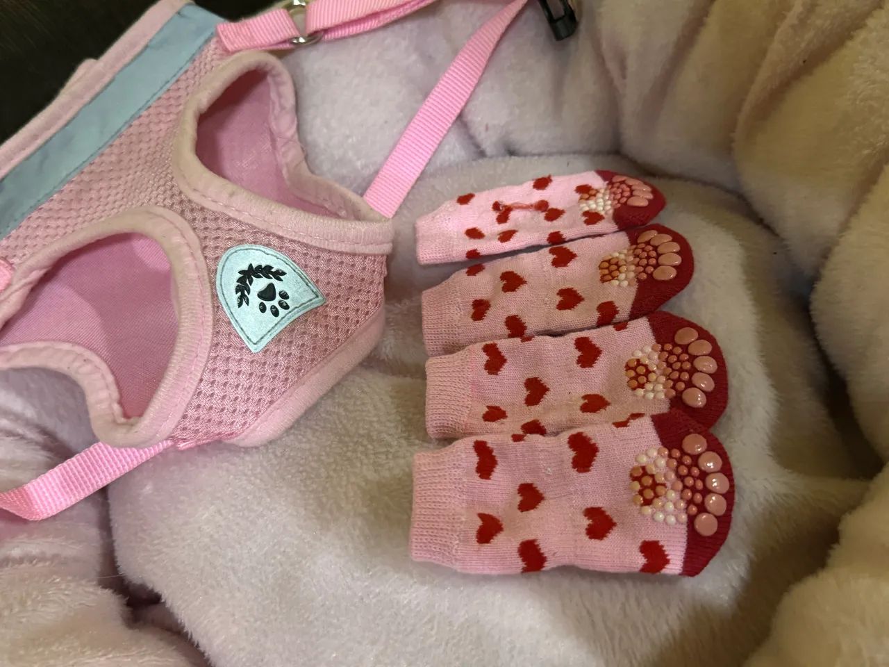 Kit pet fêmea tamanho P - R$ 50,00 1