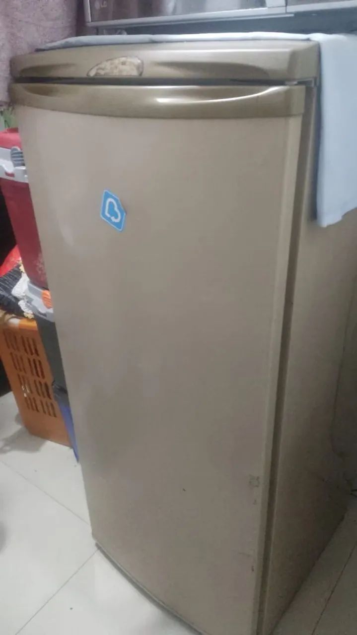 Freezer Eletrolux 