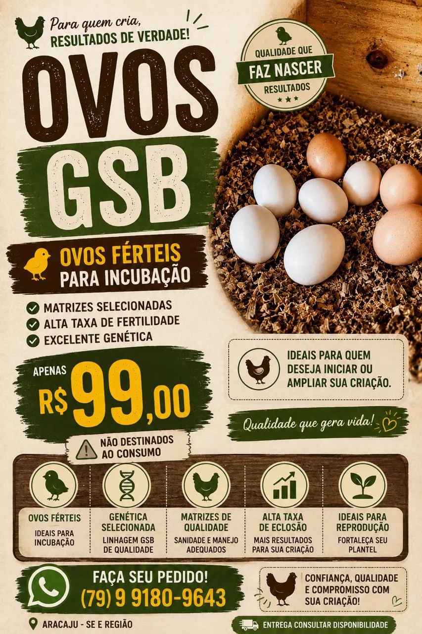 Ovos Gsb