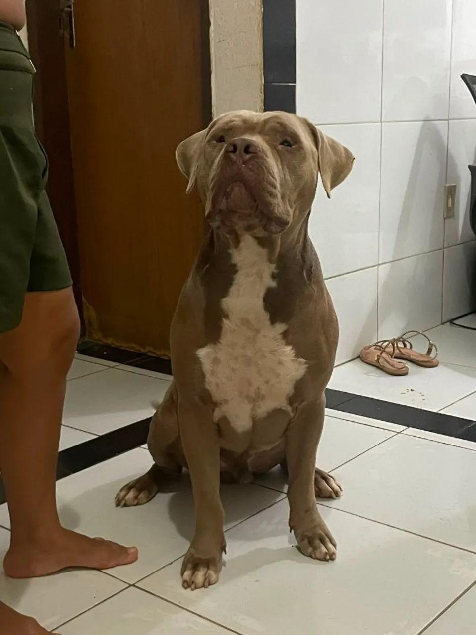 Vende-se 