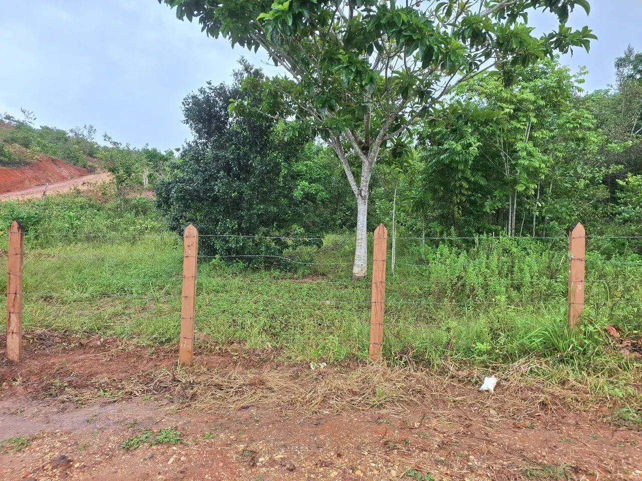 Terreno em São Cristóvão Povoado Timbô  - Foto 2