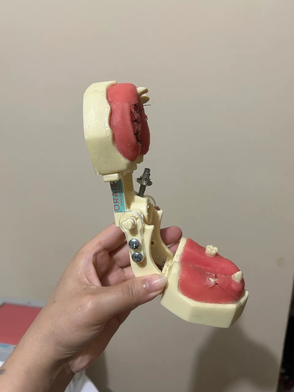 MANEQUIM CIRÚRGICO ODONTOLÓGICO - Foto 2
