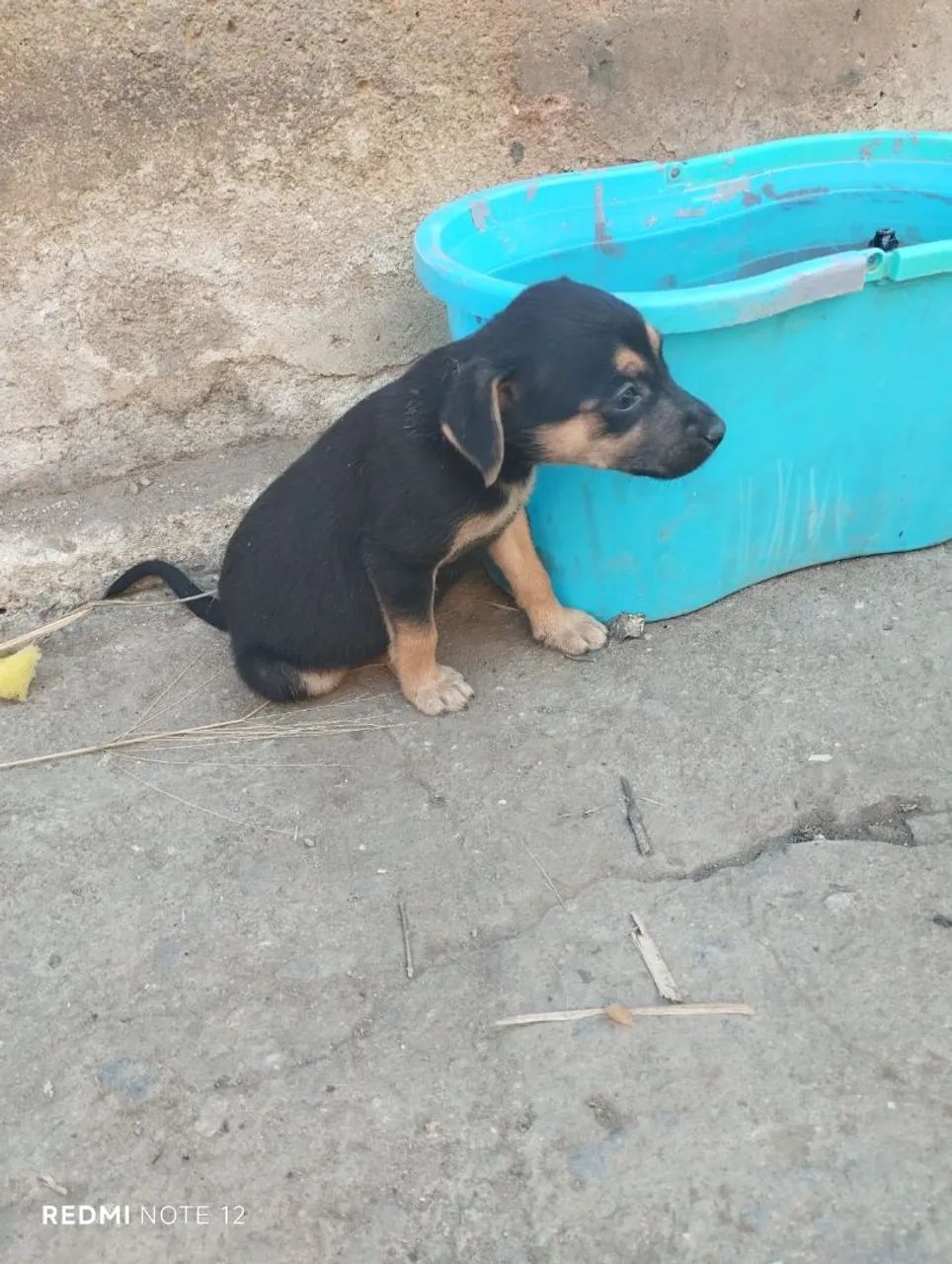 Doaçao - Foto 4