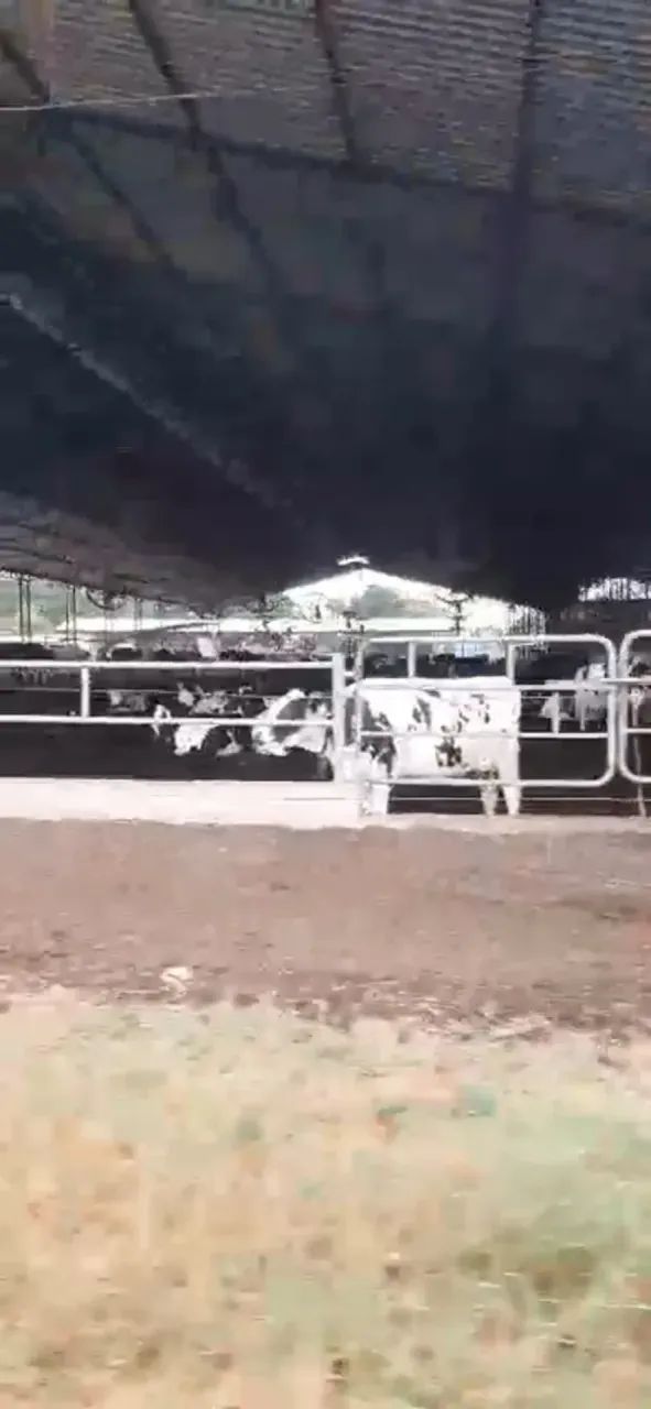 Fazenda a venda em Lagamar - Minas Gerais! - Foto 4