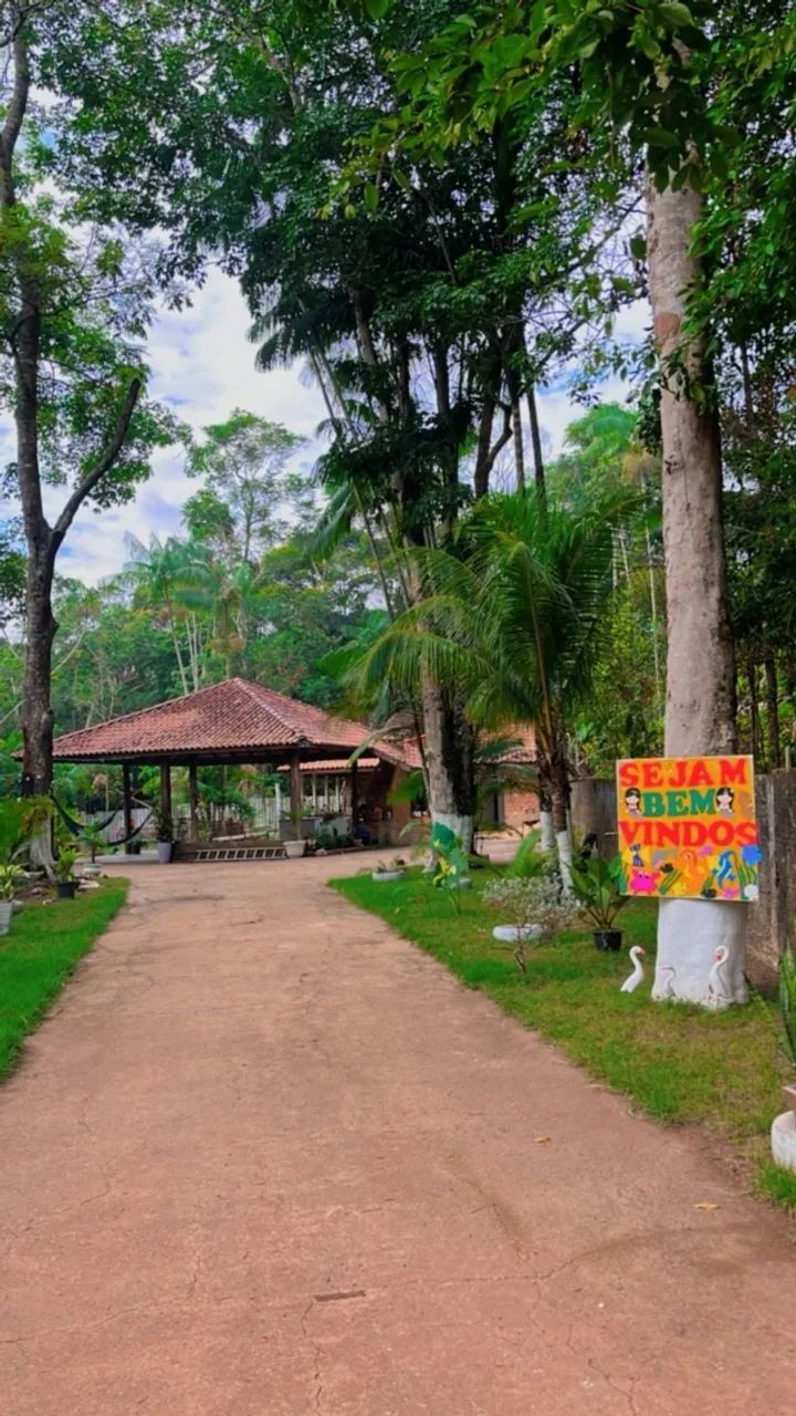 Vende-se uma chácara com Igarapé particular - Foto 2