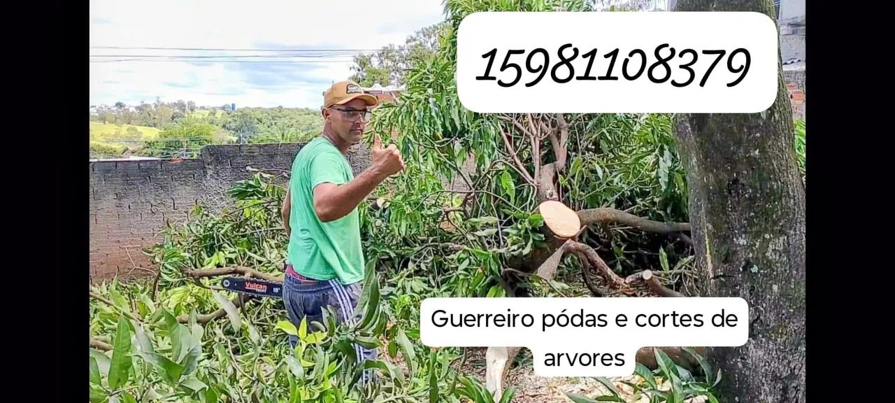 Cortes e podas de árvores grandes e retirada guerreiro  - Foto 2