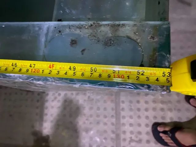 Aquário pra peixe  - Foto 5