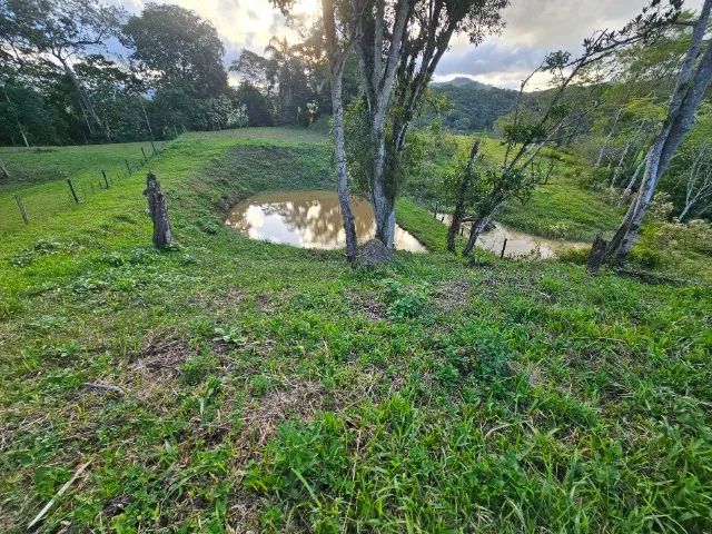 Terreno Rural com lago  em Santo Amaro