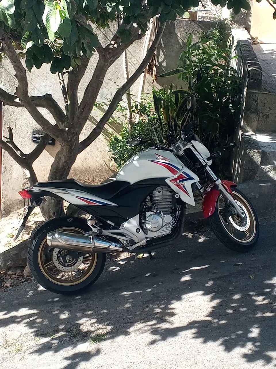 Cb 300 - Foto 2