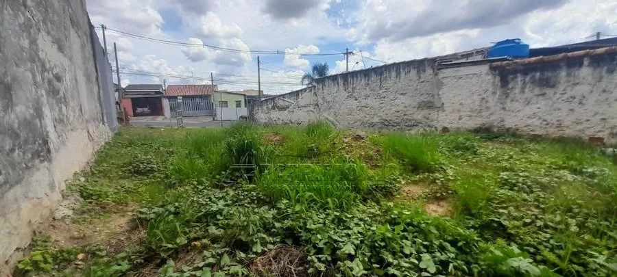 TERRENO A VENDA NO MINEIRAO - Foto 5