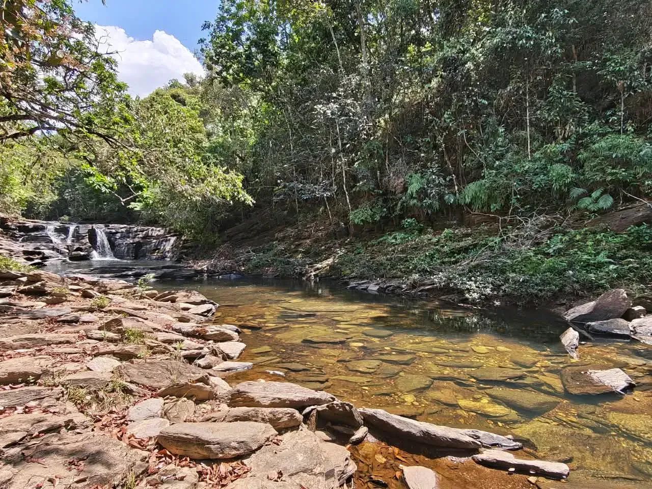 CHÁCARA 20.000M² - CONDOMÍNIO FECHADO - Foto 3