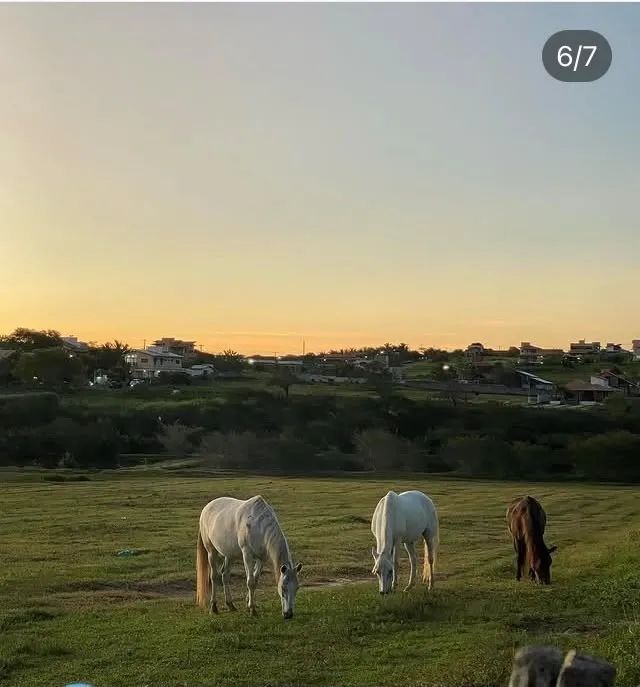 Fazenda Real I/II - Macaiba - Foto 5
