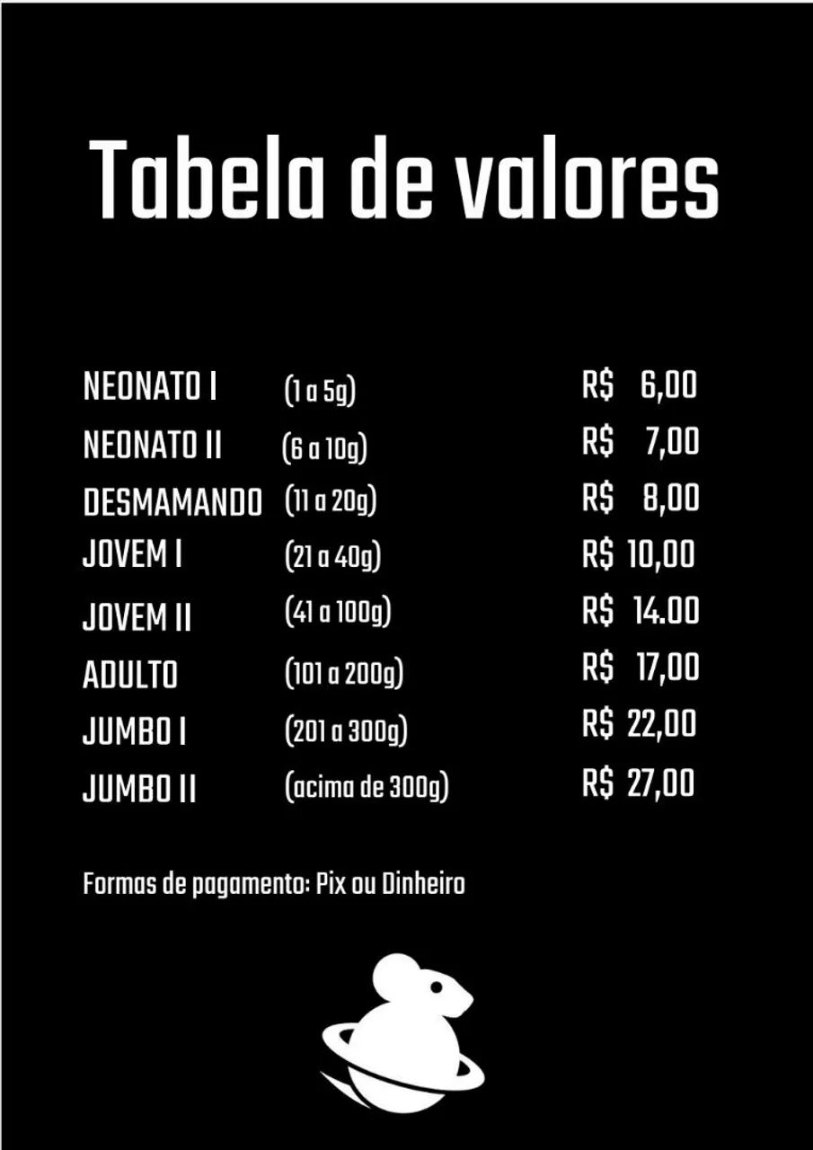 Vendo Ratos e camundongos 