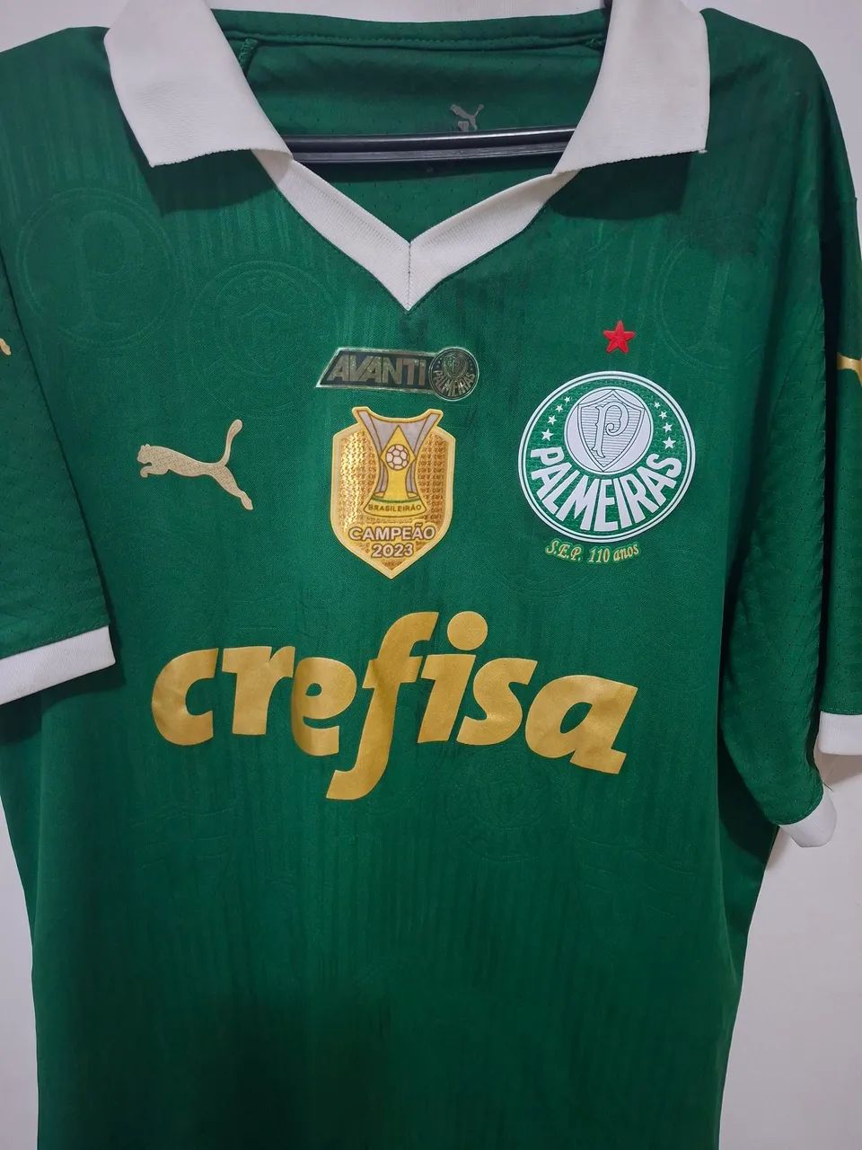 Camisa palmeiras 2024