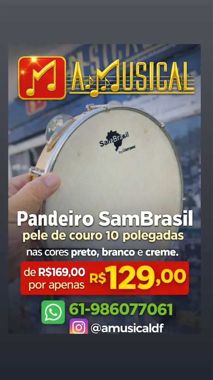 Pandeiro com pele de couro 10P SamBrasil