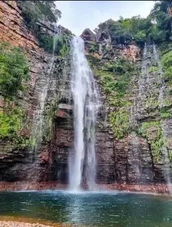 Fazenda à venda  Região de Conquista DOeste/MT codigo: 332292 - Foto 5