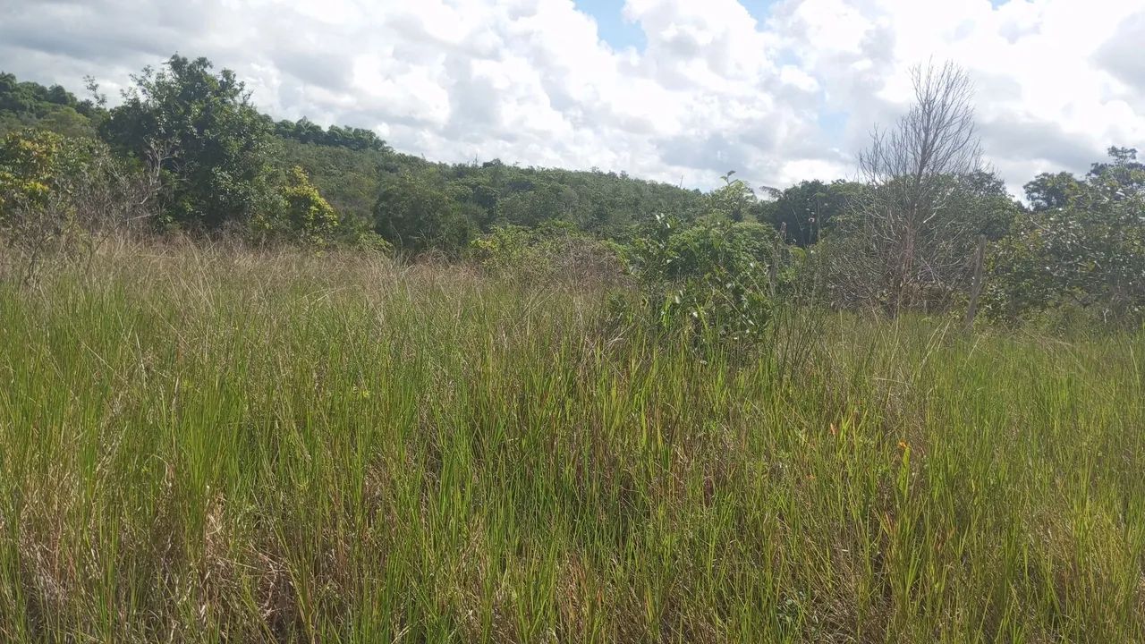Terreno em Itaporanga  - Foto 2