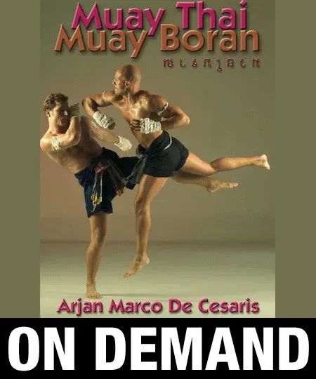 CURSO AVANÇADO DE MUAY THAI C/CERTIFICADO - Foto 5