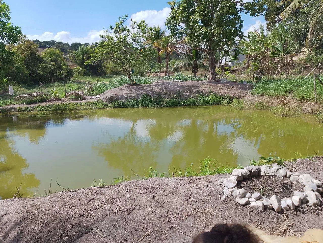 Sítio com Açude  - Foto 3