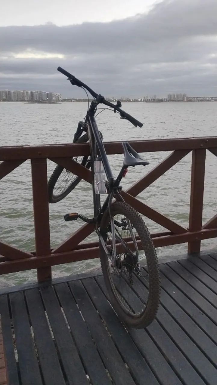 Bike aro 29 