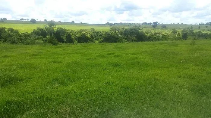 PECUÁRIA/ CANA - Área Rural 80 alqueires