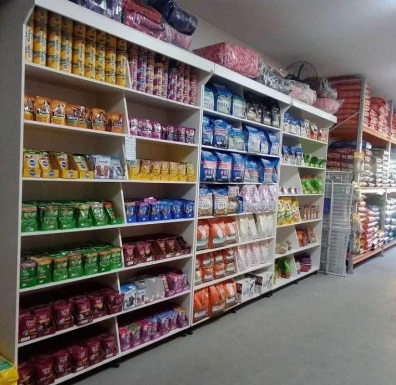 Passo Pet Shop com banho e tosa  - Foto 3