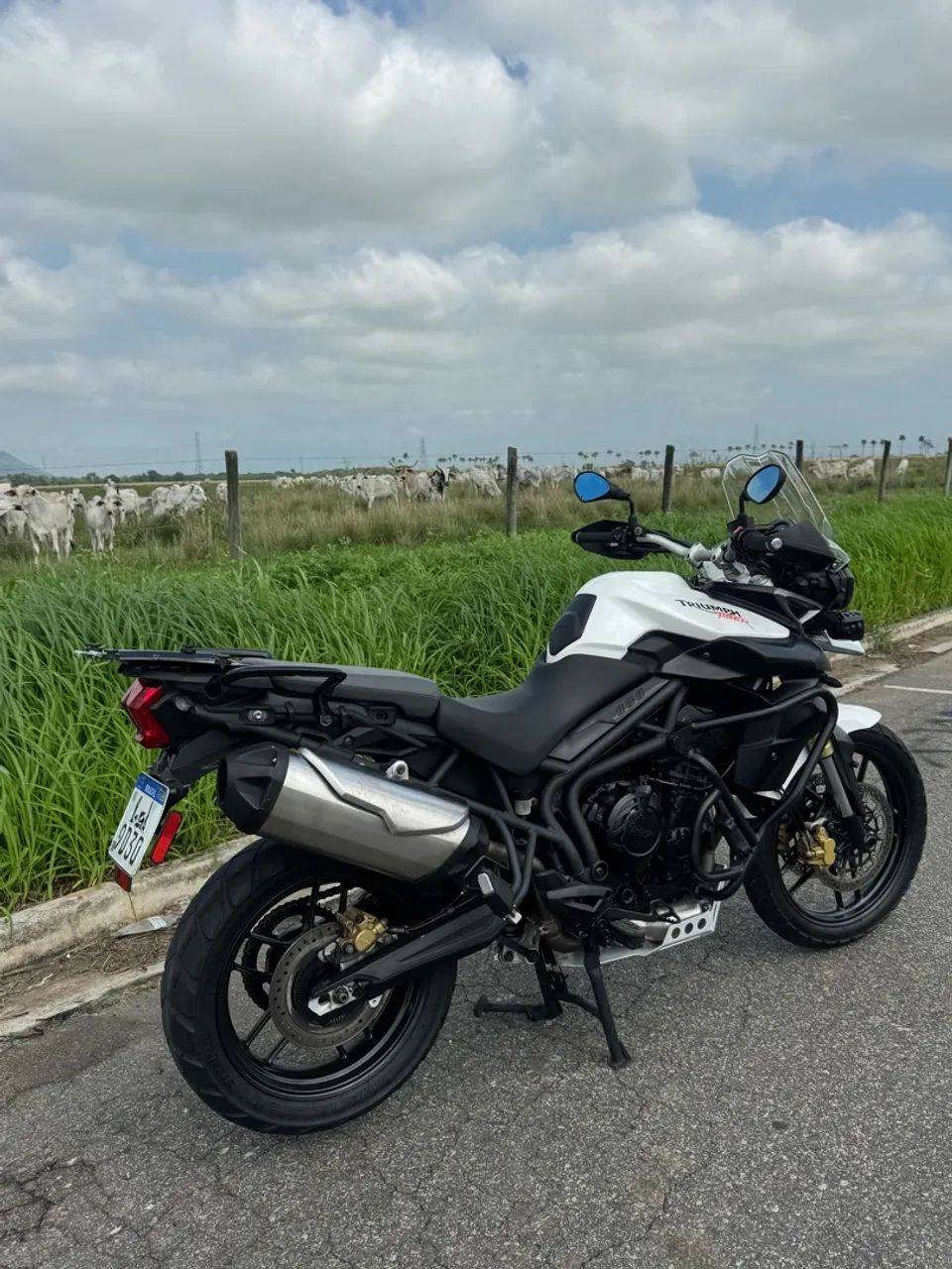 Tiger 800 - Foto 3