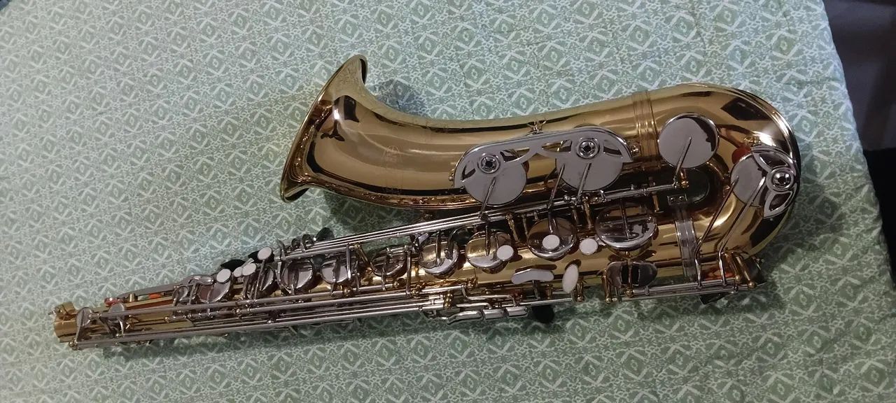 Sax tenor   (HOYDEN)