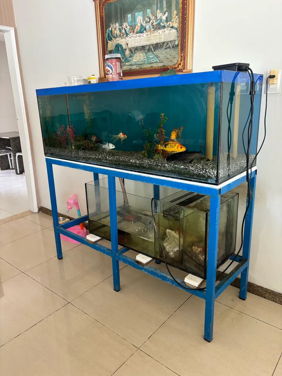 Aquário  - Foto 2