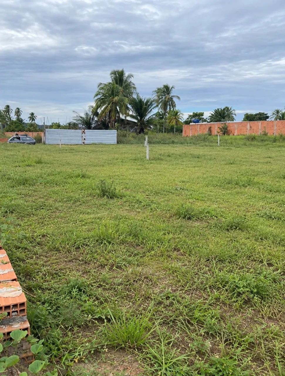 Terreno - Foto 2
