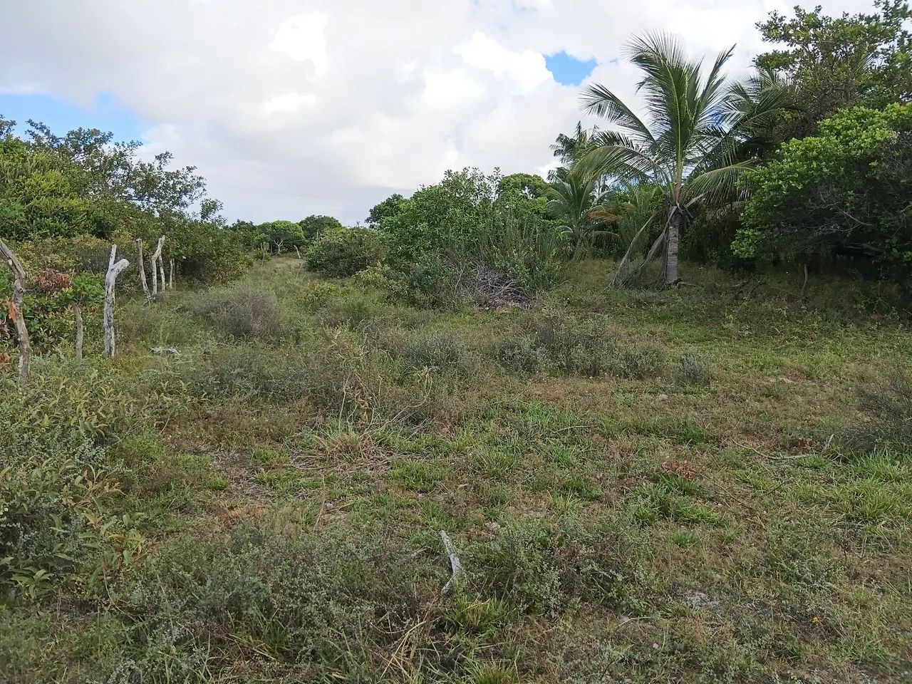 Terreno  em Santo Inácio ao lado de Atins - Foto 3