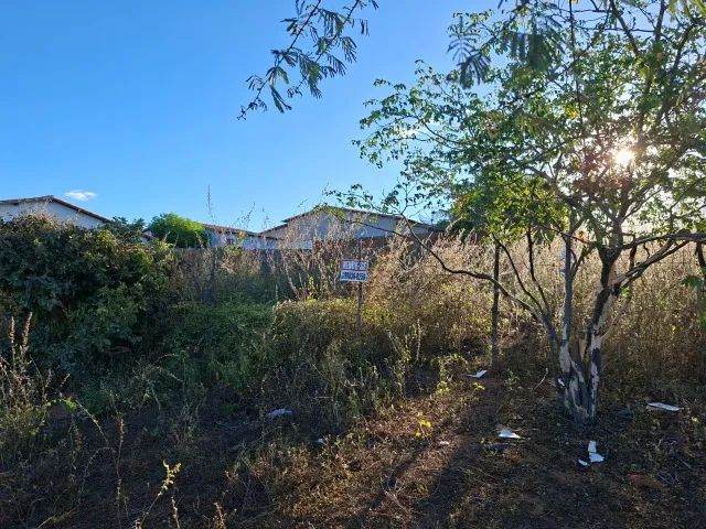 VENDO 3 TERRENOS EM UMARIZAL/RN - EXCELENTE OPORTUNIDADE! - Foto 3