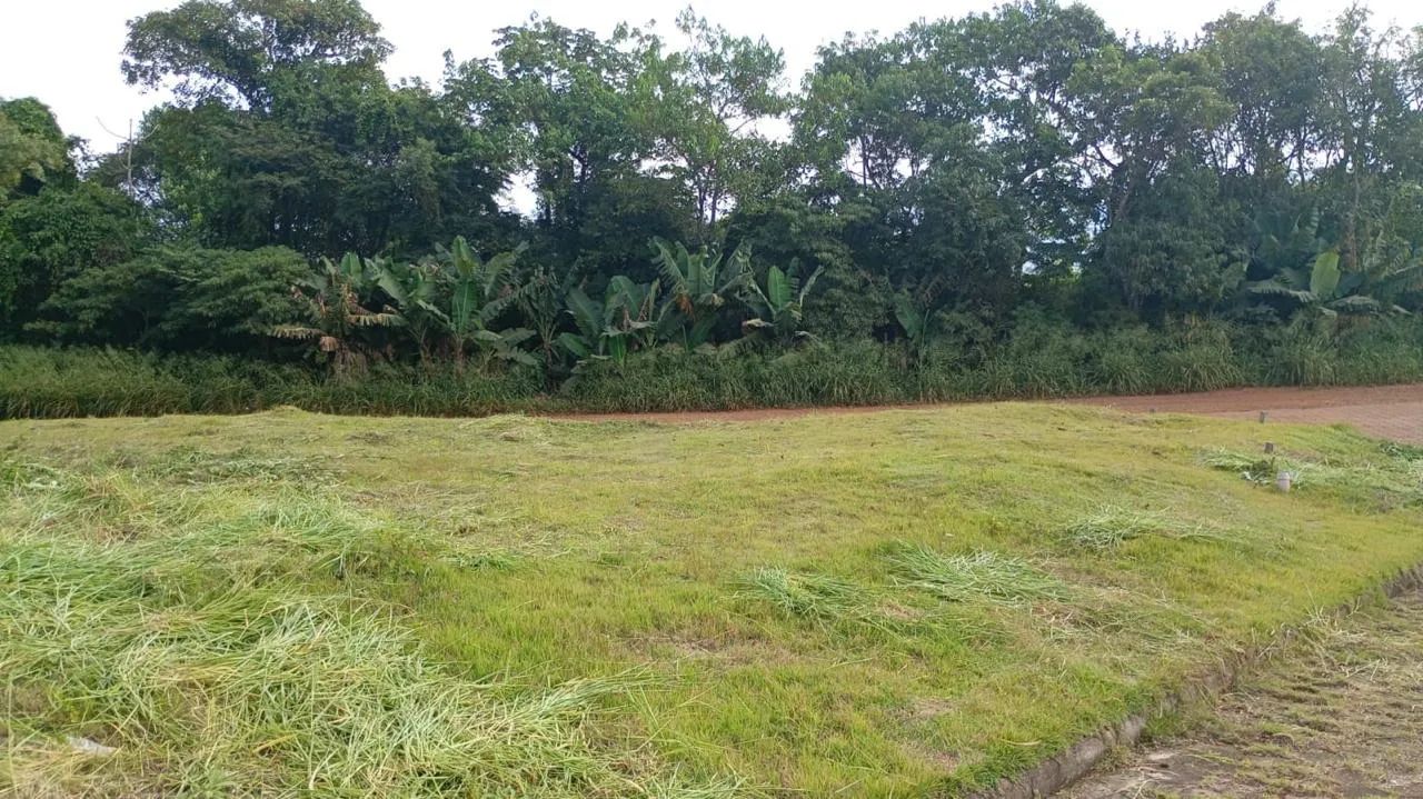Venda  - Foto 2