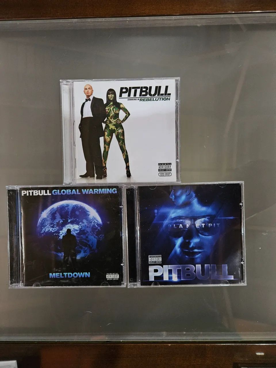 CD's Pitbull 